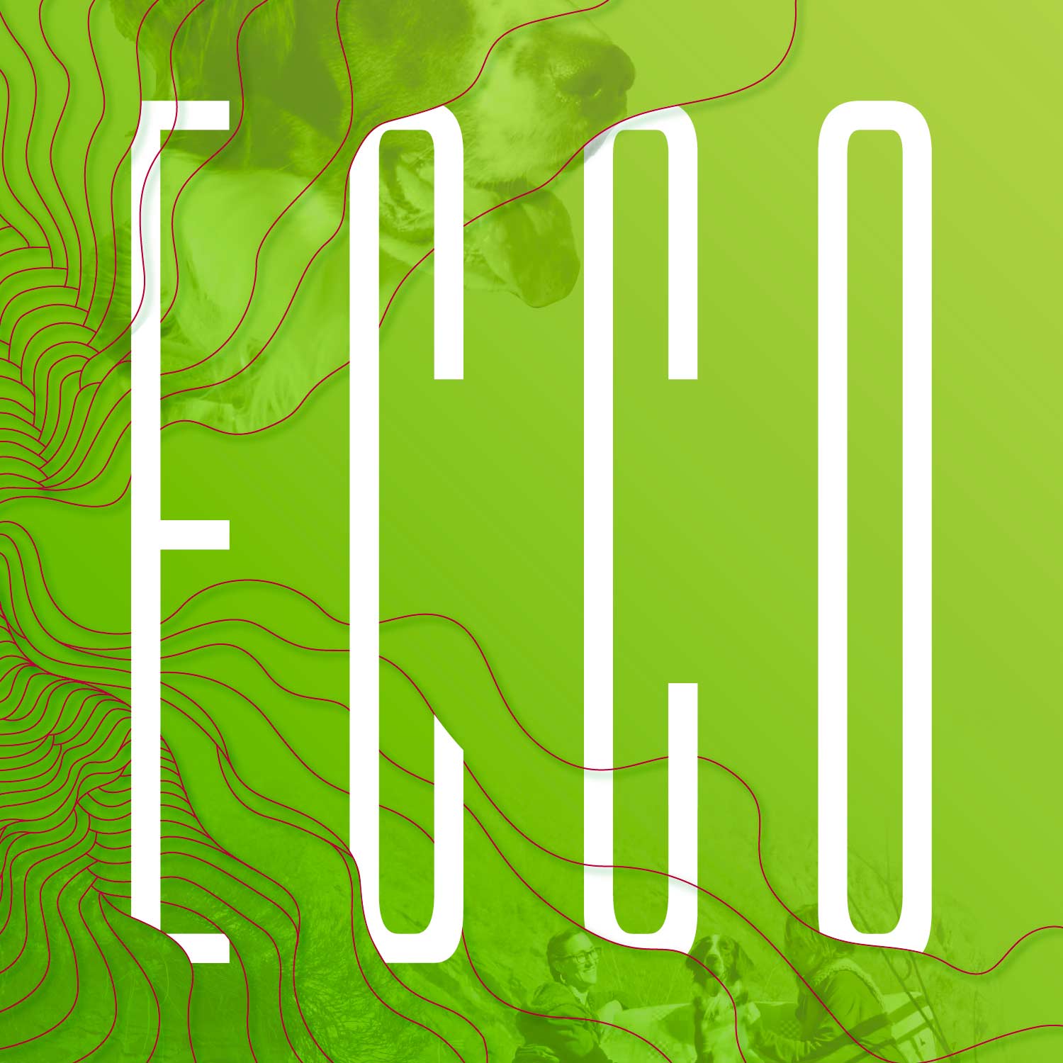 09-Ecco-01